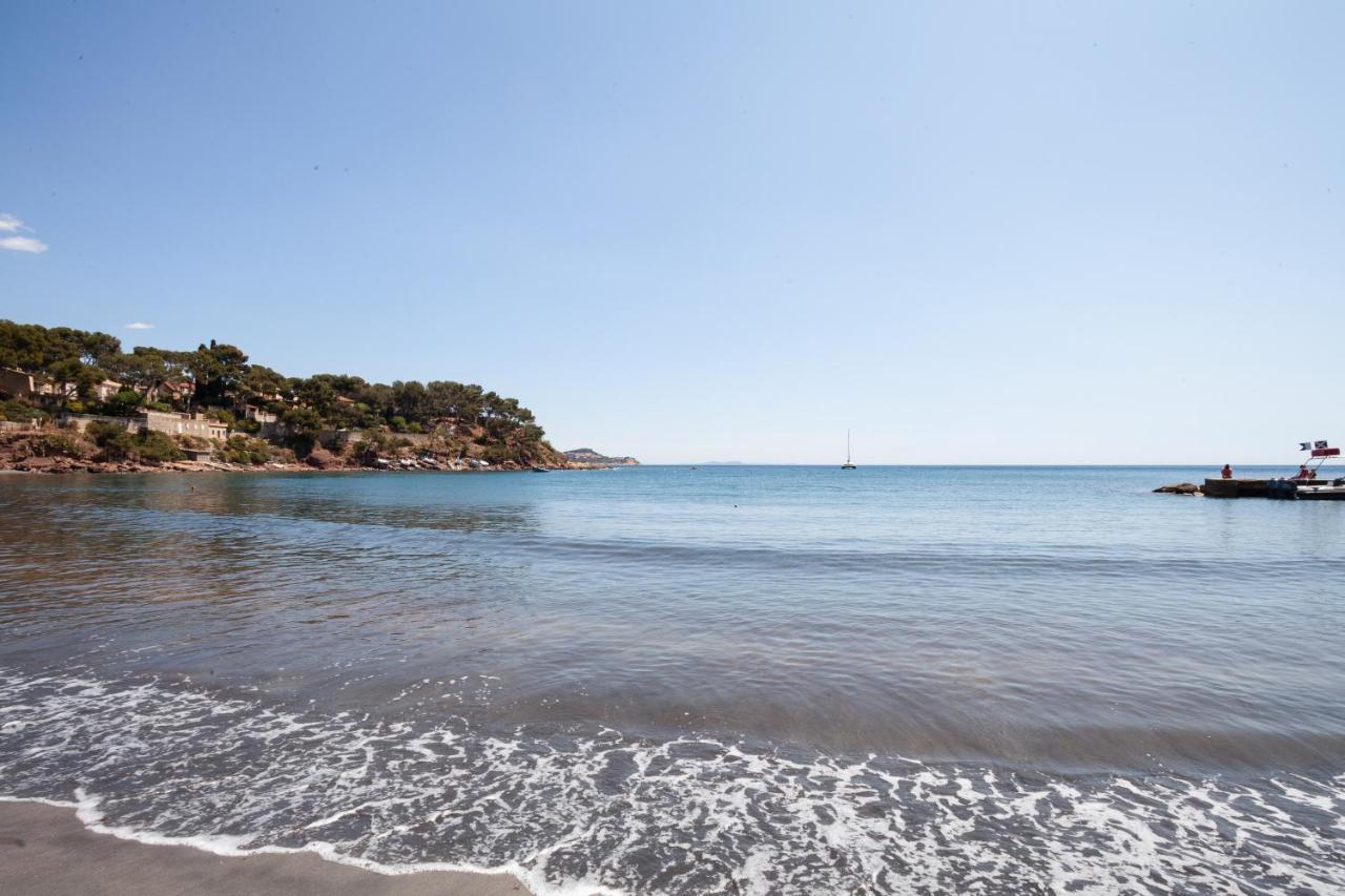T2 - La Seyne Sur Mer - Fabregas Экстерьер фото